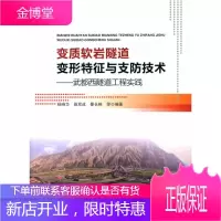 变质软岩隧道变形特征与支防技术——武都西隧道工程实践【正版图书 放心购买】