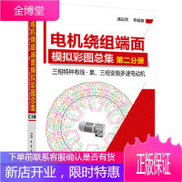 电机绕组端面模拟彩图总集第二分册----三相特种布线单、三相变极多速电动机[正版图书 放心购买]