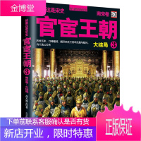 官宦王朝:南宋卷3,大结局(迄今为止,口碑较好的一本白话宋朝大历史)[正版图书 放心购买]