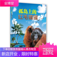孤岛上的红毛猩猩[正版图书 放心购买]