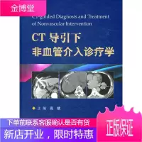 CT导引下非血管介入诊疗学【正版图书 放心购买】