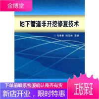 地下管道非开挖修复技术[正版图书 放心购买]