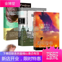 追风筝的人+偷书贼+偷影子的人共3册 经典 外国文学治愈小说
