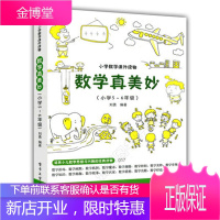 小学数学课外读物 数学真美妙 小学5-6年级 培养少儿数学思维与兴趣的经典读物