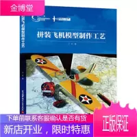 模型入门丛书:拼装飞机模型制作工艺(全彩印刷)
