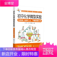 初中化学微型实验 九年级化学上下册实验汇总教程书 9年级化学基础知识大全教程书籍