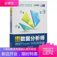 人人都是数据分析师 微软Power BI实践指南 微软Power BI软件教程书籍