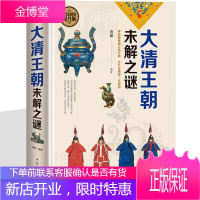 大清王朝未解之谜 清代通俗读物 解读清朝历史官场奇闻 清朝历史经典读本细说大清历史事件 正史野史秘史