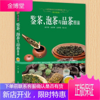 鉴茶泡茶与品茶图鉴 茶书茶艺茶道茶经茶文化百科知识书籍 中国茶道 图解茶艺茶具茶叶品鉴冲泡技巧书籍