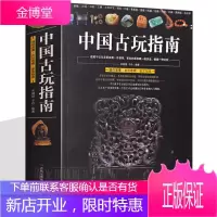 中国古玩指南 通俗易懂瓷器铜器书画玉器文房四宝古玩收藏鉴定指南印章名石收藏是一种文化古玩鉴赏书籍