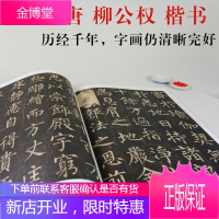 【42CM原帖+教程】柳公权玄秘塔碑字帖 历代书法碑帖导临教程楷书全彩色放大本技法解析及全帖 玄秘塔