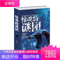 正版 惊魂的谜团大全集