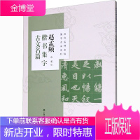 历代名碑名帖集字古文系列 赵孟頫楷书集字古文名篇 沈菊 书法篆刻字帖艺术书籍 毛笔软笔字帖临摹练习