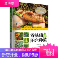 零基础学阳台种菜 赵晶 自制放心菜园 阳台微型菜园 家庭种菜基础知识种植技术 家居家庭园艺书籍