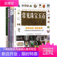 5册 常见珠宝玉石简易鉴定手册/翡翠鉴定与选购从新手到行家/翡翠佩戴/戴翡翠/购翡翠 翡翠收藏鉴赏书