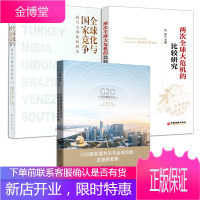 3册全球化与国家竞争新兴七国比较研究+两次全球大危机的比较研究+G20新发展共识与全球治理发展新趋势