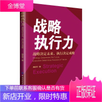 战略执行力 战略决定未来 执行决定成败 周文平著 企业战略管理 战略执行案例分析阐述书籍 管理者读物