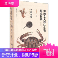 中国常见海洋生物原色图典 节肢动物 少儿科普知识读本 海洋节肢动物的特征介绍 海洋生物介绍的工具书籍