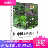 中国畲药图谱 雷后兴雷建光王晓杭等 医学知识普及读物 中医临床基础理论 中医药学科普书籍