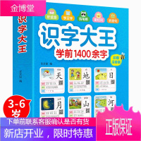 儿童学前看图识字书3-6岁幼儿园1400字 识字大王注拼音版 一年级学前班幼小衔接幼升小教材语文学习