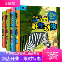 小手电大发现系列书全4册手电筒系列 发现丛书幼儿科普百科视觉大发现3-6-12岁探索恐龙的秘密书