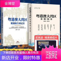 粤港澳大湾区规划和定位 大湾区发展报告 全2册 区域经济合作 剖析大湾区规划为各城市带来的机遇挑战R