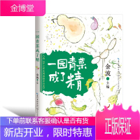 一园青菜成了精全彩注音版 金波主编 金波亲自朗诵 入选中小学生阅读指导目录小学7-8-9岁一二年级