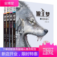 沈石溪画本狼王梦 全套4册 绝境逢生/荒野遇袭/重塑狼性/金色丰碑 沈石溪儿童文学6-9-12周岁