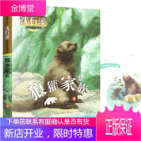 狼獾家族 动物小说大王沈石溪品味成长书系 班主任推荐暑假阅读书籍 三四五六年级小学生课外阅读故事