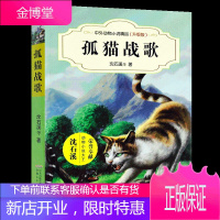 孤猫战歌 中外动物小说精品(升级版)沈石溪经典动物小说系列 三四五年级中小学生课外阅读书籍动物小说书