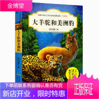 大羊驼和美洲豹(升级版)/动物小说大王沈石溪自选精品集 沈石溪动物小说书籍9-12岁儿童动物故事书