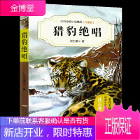 猎豹绝唱 中外动物小说精品 沈石溪经典动物小说系列 7-14岁中小学课外阅读书籍儿童文学教辅读物