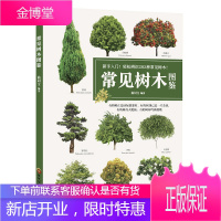 常见树木图鉴辨认常见树木指南书籍常见树木品种/形态介绍/生长点介绍 植物图鉴植物书籍植物爱好者工具书