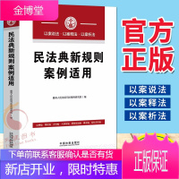 民法典新规则案例适用（2020）中国法制出版社 民法典案例分析