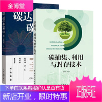 [全2册]碳达峰碳中和100问碳捕集利用与封存技术环境气候变化低碳能源革命转型案例节能减排中国碳排