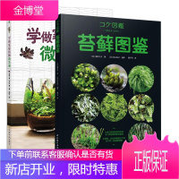 [全2册]苔藓图鉴学做家庭植物微景观藤井九子植物微景观盆栽缸造景养殖材料工具diy识别鉴别名称藓类