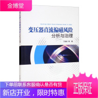 正版书籍 变压器直流偏磁风险分析与治理 丁国成电力系统工程师电气工程设计人员和电气工程专业相关技术
