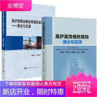 [全2册]高炉高效低耗炼铁理论与实践高炉流程冶炼含铬型钒钛磁铁矿理论与实践高炉炼铁领域相关科研生产