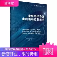 正版书籍 宽禁带半导体电机驱动控制技术丁晓峰电子与通信半导体技术高性能驱动控制技术电机驱动半导体工