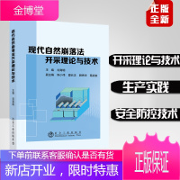 现代自然崩落法开采理论与技术 矿山的建设和生产 实践技术 运输 监测 防控