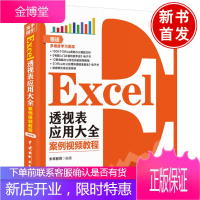 正版书籍 Excel 透视表应用大全(案例视频教程)Excel透视表零基础入门到精通Excel透视