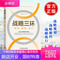 正版书籍 战略三环:规划、解码、执行 王钺 著 战略管理 战略思维 企业管理 企业运营