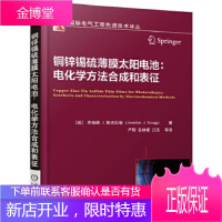 正版教材书籍 铜锌锡硫薄膜太阳电池:电化学方法合成和表征[英]乔纳森 J.斯克拉格(Jonathan