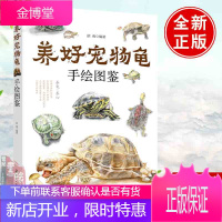 正版 养好宠物龟手绘图鉴 胡海 水龟半水龟陆龟养殖书籍宠物龟饲养技术生活环境搭建乌龟喂养方法龟病防