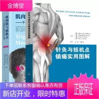 针灸与扳机点镇痛实用图解+肌肉链与扳机点 手法镇痛的新理念及其应用 第二版 两本 山东科学技术出版