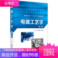 正版书籍 电镀工艺学王玥化学工业出版社大学本科研究生教材