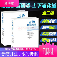全2册胃肠诊断图谱 上消化道+下消化道第2版 胃肠编委会消化道诊断学NBI电子放大内镜小肠镜声内