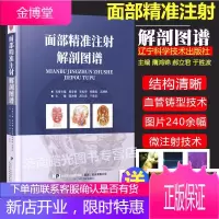 面部精准注射解剖图谱 面部皮下组织解剖 面部年轻化手术 注射美容整形 面部精修线雕 微整形注射并发