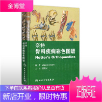 京东图书 正版认证 奈特骨科疾病彩色图谱