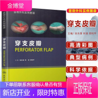穿支皮瓣/显微外科实例图谱